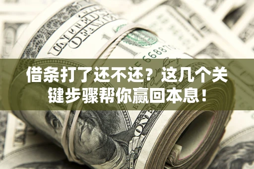 济南借条打了还不还？这几个关键步骤帮你赢回本息！