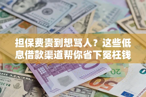 济南担保费贵到想骂人？这些低息借款渠道帮你省下冤枉钱