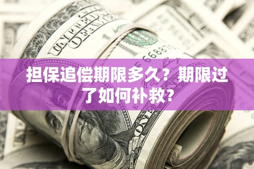 济南担保追偿期限多久？期限过了如何补救？