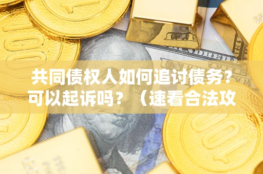 济南共同债权人如何追讨债务？可以起诉吗？（速看合法攻略）