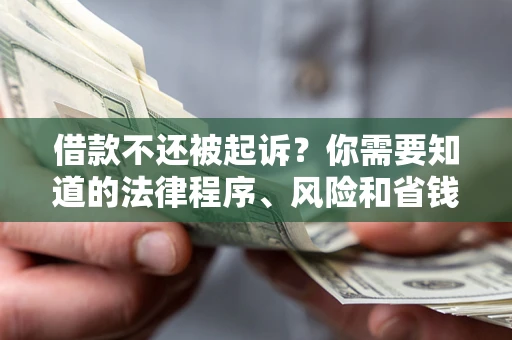 济南借款不还被起诉？你需要知道的法律程序、风险和省钱技巧